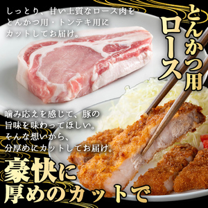 かごしま 味わい 黒豚 とんかつ ロース【トロかつ】(計1.2kg・200g×6枚)【KNOT】A559