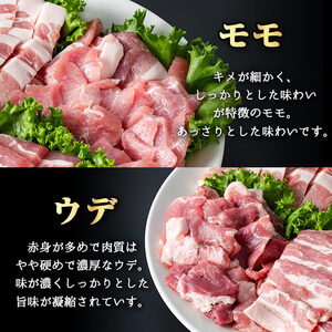 鹿児島県産 豚肉 霜降り トロ豚 焼肉 バラエティ セット(合計2kg)【KNOT】 A565-v01