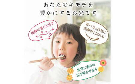 富山県ブランド米 富富富 玄米 10kg ふふふ ブランド米 国産 米 お米 日本米 ギフト 贈り物 備蓄 防災 食品 陽咲玲 はるざれ F6T-947