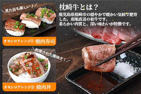 鹿児島 枕崎牛 【カルビ 500g】 焼肉 国産和牛 小分け 5P　B0-4_肉 焼肉 牛肉 やきにく ヤキニク バーベキュー_【配送不可地域：離島】【1562433】