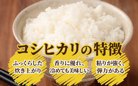 【3ヶ月定期便】【令和7年産】大野産コシヒカリ（白米）5kg×3回 計15kg【大野ブランド米 名水育ち】[D-097001]