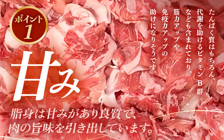 【ブランド豚】 ふくいポーク 切り落とし 500g  冷凍 国産豚肉 [e02-a030]