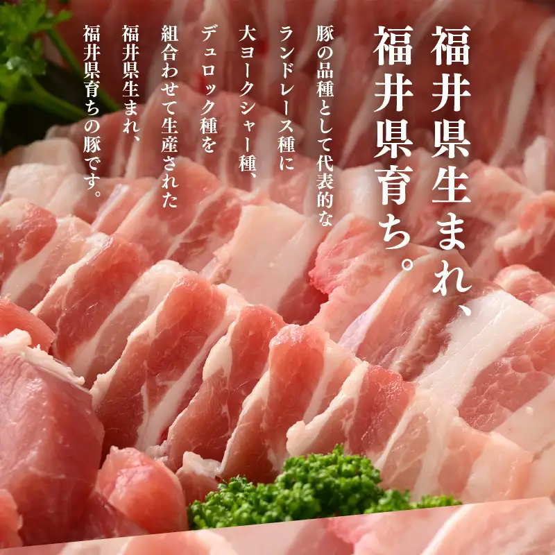 【ブランド豚】ふくいポーク 豚バラ焼肉 600g（300g × 2パック）国産肉 冷凍 [e02-a033]