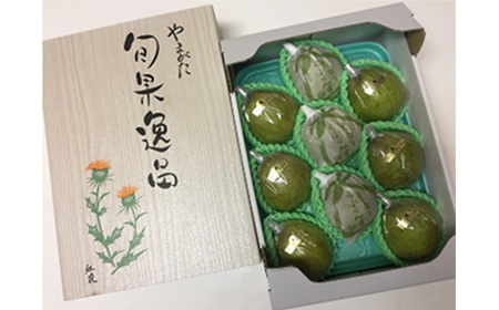 山形県産 厳選ラ・フランス 特秀品 3kg 化粧箱（8～10玉入り）《先行予約2026年11月発送開始》 なし ナシ 梨 デザート フルーツ 果物 くだもの 果実 食品 山形県 FSY-2713