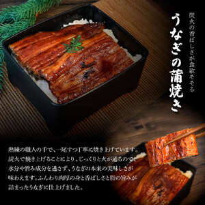 ★最終月きざみうなぎ1袋付き★ 特選うなぎの蒲焼き（冷凍）2尾 6ヶ月定期便 タレ付き 山椒付き ヤマシン