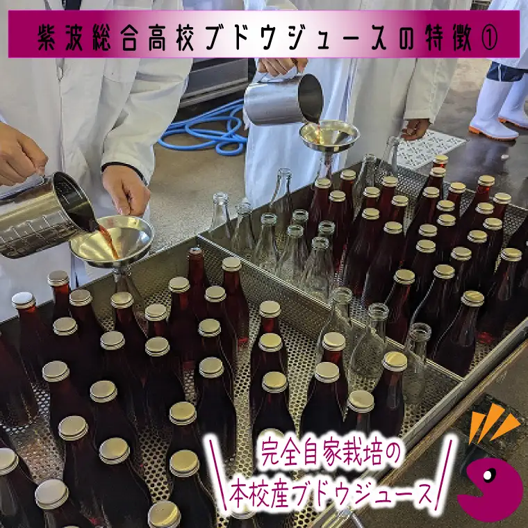 高校生が作りました！ 紫波町産ぶどうジュース 300ml 4本入り(EC002)ジュース 