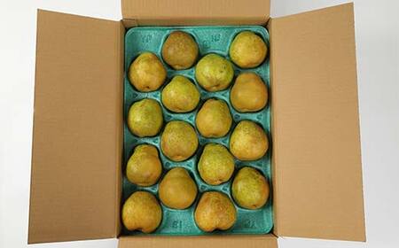 【先行予約（2026年度発送）】山形県産 ラ・フランス 5kg(12～20玉) 秀品 梨 洋梨 果物 フルーツ FSY-2167