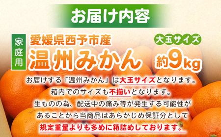 先行予約＜愛媛県西予市産 温州みかん 大玉サイズ 家庭用 約9kg＞ 愛媛県産 西宇和 大玉 大きめ 家庭用 果物 フルーツ 柑橘 うんしゅうみかん ウンシュウミカン オレンジ ミカン 蜜柑 訳あり 小林果園 愛媛県 西予市 【常温】『2026年11月上旬～12月中旬迄に順次出荷予定』OKE0002