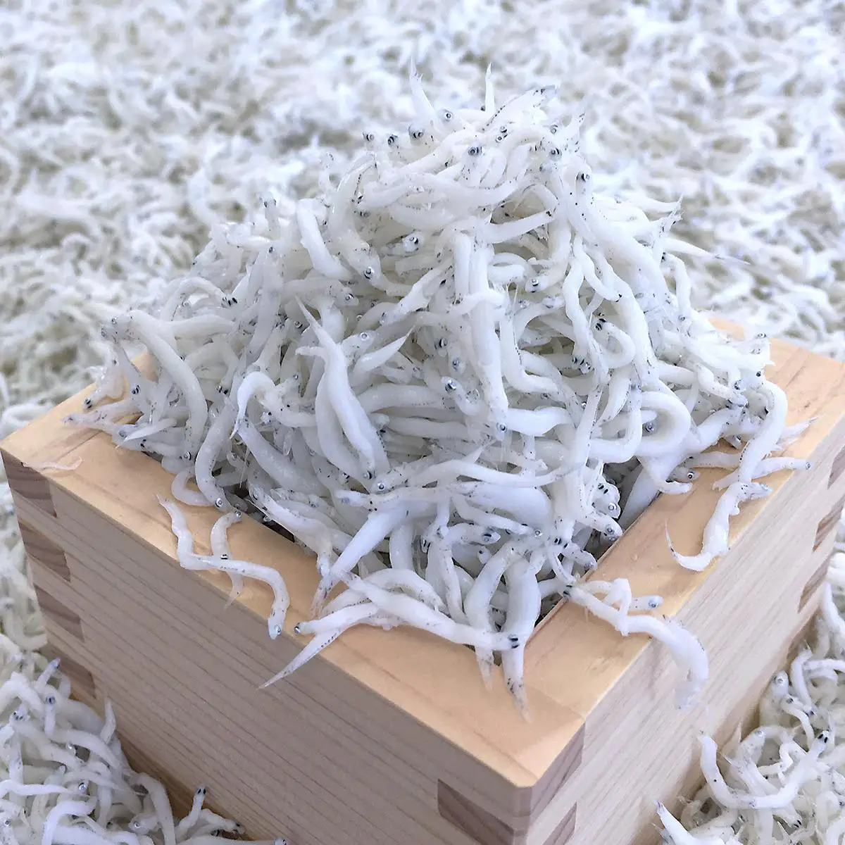 冷凍釜揚げしらす300g［DN5］