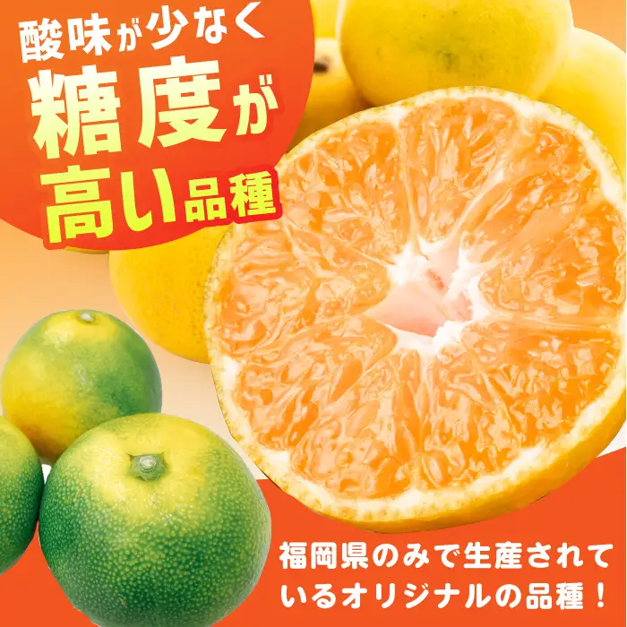 【★先行予約★ 2026年9月下旬より発送】早味かん 約5kg / みかん 蜜柑 果物 フルーツ[AFAB075]