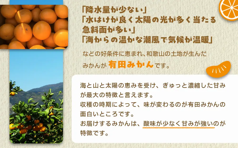 産地直送 有田みかん サイズ 不揃い 約5kg 喜楽farms 【2026年11月以降順次発送】