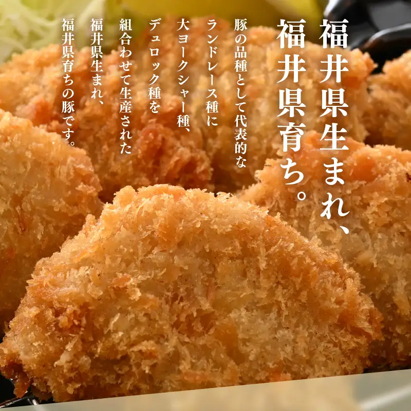 【ブランド豚】ふくいポーク 豚ヒレ切り身 600g 国産肉 冷凍 カツ [e02-a037]