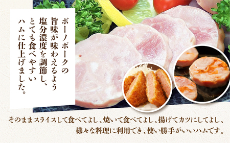 【定期便 3回】飛騨味職人「ボーノポーク満喫定期便」【57-E】