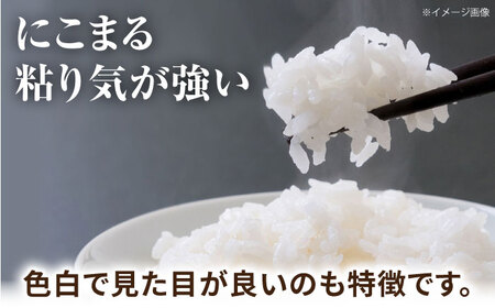 筍とお米(にこまる)セット 【道の駅 水辺プラザかもと】[ZEG010]