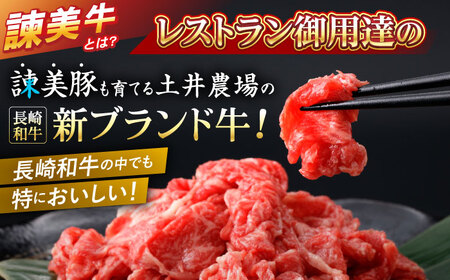 【特Aのブランド米で育てた】諫美牛 切り落とし 500g(250g×2) / 牛肉 ぎゅうにく 和牛 牛 肉 国産 切り落とし 切り落し 切りおとし / 諫早市 / 株式会社土井農場 [AHAD090]