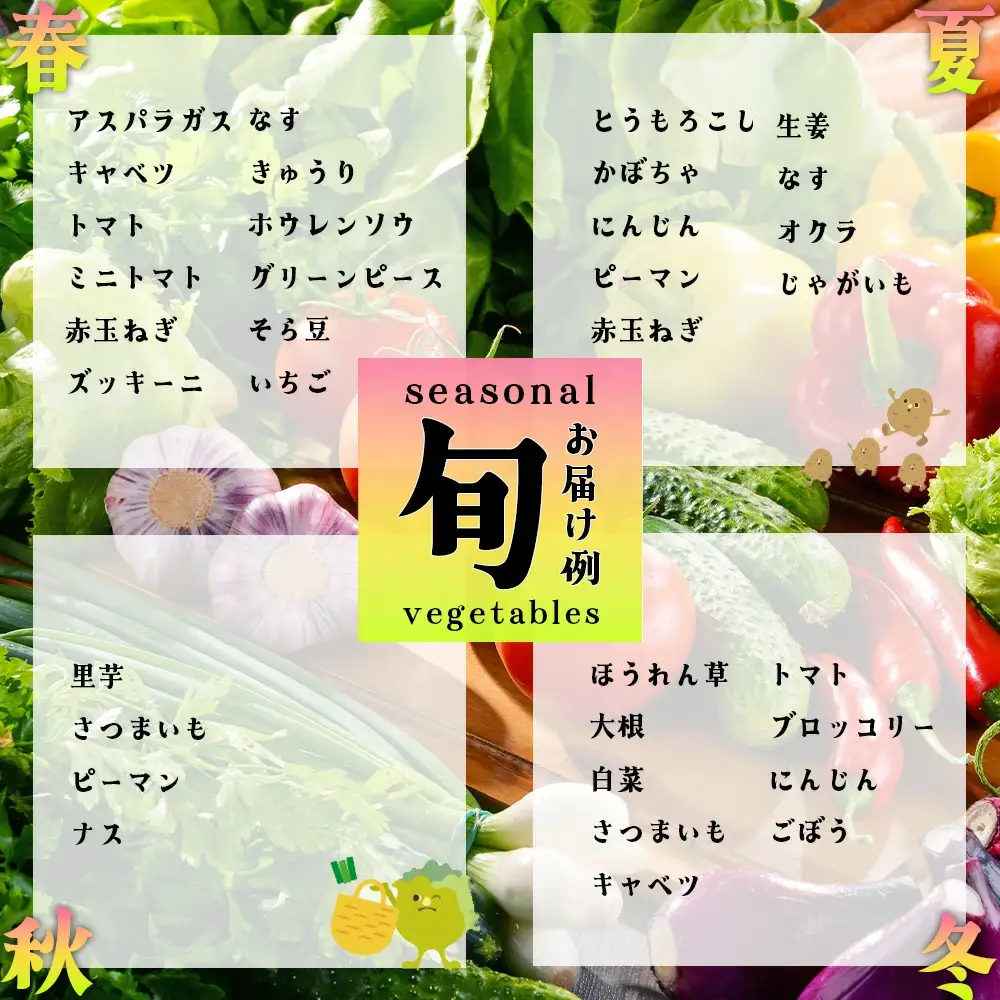 季節のカラフルなヤサイBOX（8～10種類）　【11218-0770】