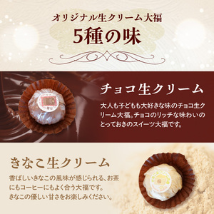 オリジナル生クリーム大福 5種 10個セット 大福 セット 詰め合わせ 詰合せ きなこ 抹茶 チョコ フランボワーズ ラムレーズン 生クリーム お餅 もち 和菓子 手土産 贈り物 贈答 デザート お茶菓子 大福セット 大福詰め合わせ 京都府 木津川市  020-02