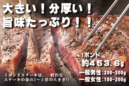 くまもと黒毛和牛 1ポンド ステーキ 約500g《 黒毛 和牛 1 pound ステーキ 500g ブランド牛 上質 常備 冷凍 熊本県 》113-0512
