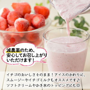 No.1183 冷凍いちご(計約2.55kg・約850g×3P) 国産 九州産 苺 いちご イチゴ 冷凍 果物 フルーツ 減農薬 アイス【片平観光農園】