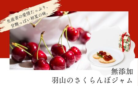 さくらんぼジャムと紅玉りんごジュレ 2個セット ジャム 朝食 パン セット ギフト【Soleil（ソレイユ）】