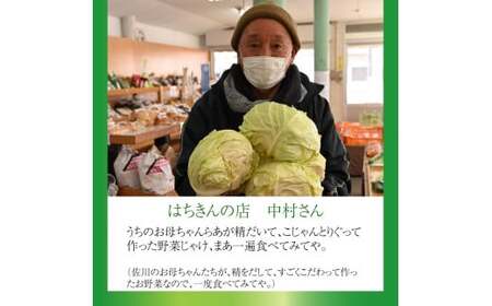 【ふるさと納税】＜はちきんの店 野菜 セット 7～10品＞ 野菜詰め合わせ 詰合せ 高知の野菜 旬の野菜【冷蔵】高知県 佐川町