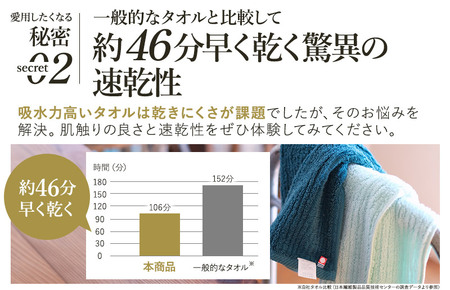 （今治タオルブランド認定品）ASiTA BALANCE シリーズ フェイスタオル２枚セット ブルー【I002170FT2B】