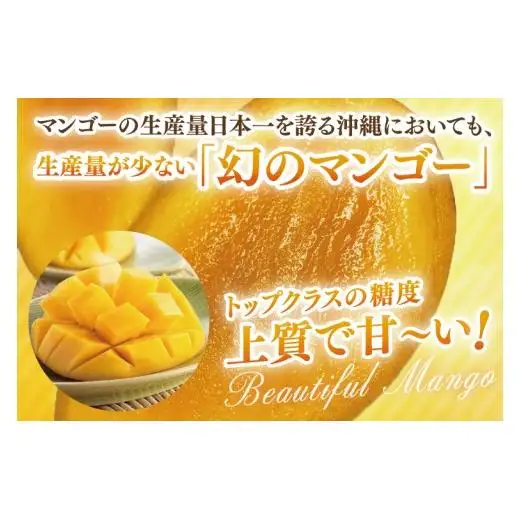 菜々色畑のキーツマンゴー 2～3玉(約2kg)【化粧箱】