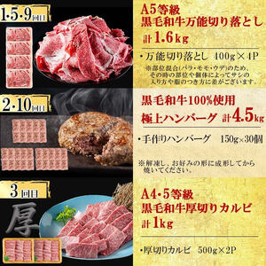 【定期便全12回】超豪華！黒毛和牛堪能贅沢定期便！(総重量19kg超) 鹿児島県産 黒毛和牛 和牛 肉 牛肉 国産 九州産 鹿児島県産 焼肉 BBQ 日本一 ランキング 人気 A4 A5 ステーキ 切り落とし ハンバーグ カルビ ミスジ 訳あり t0365-001