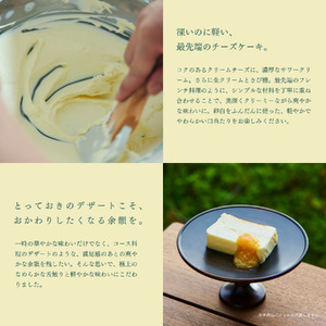中川政七商店 シルクチーズケーキ 【 ハーフサイズ 】 12cmデザート チーズケーキ 10-040
