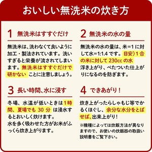 令和6年産 無洗米 静岡のお米 2kg 静岡県米 無洗米 藤枝市