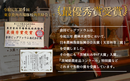 下妻金豚のロース 生姜焼き 約720g （ 120g × 6パック ）