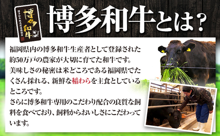 博多和牛 牛肩ロース薄切り 約500g 500g×1パック 久田精肉店株式会社《30日以内に出荷予定(土日祝除く)》小竹町 博多和牛 牛肉 肩ロース ロース A5等級 厳選 すき焼き しゃぶしゃぶ 国産 送料無料