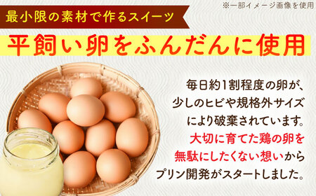 こだわりの平飼い卵を使用！牛乳を使わない優しいプリン 6個入（80g/個） / 佐賀県 / 素ヱコ農園 [41AEAA014]