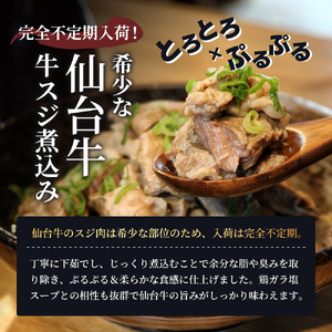 牛すじ煮込み 3kg ( 300g × 10個 ) セット 詰め合わせ 仙台牛 国産牛 国産牛肉 牛肉 肉 牛すじ