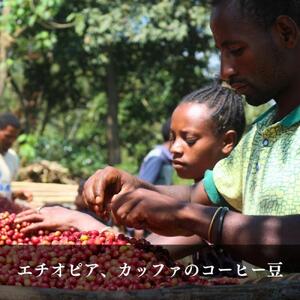 ガルテンビコーヒー ドリップバッグ　30個