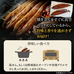 国産うなぎの蒲焼き 大サイズ×2尾 _T08106