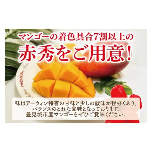 菜々色畑の赤秀アーウィンマンゴー 3～4玉(約1.5kg)【化粧箱】