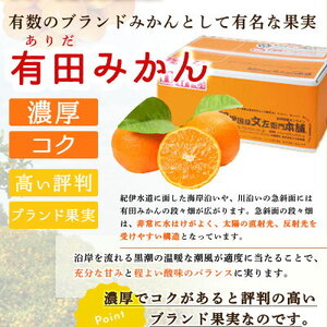 V7435_【2026年先行予約】ブランド有田みかん【Ｌ】秀品5kg 薄皮で甘い美味しい みかん（お届け日指定不可）