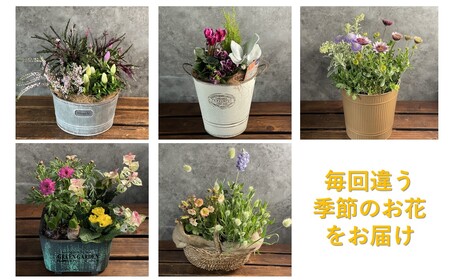 【定期便 / 毎月2回 計24回 お届け】季節の寄せ植え 定期便 岩手県 北上市 R0122  （ パルテール )  花 観賞用 アレンジ プレゼント ギフト 誕生日 お祝い クリスマス 卒業 入学 バレンタインデー ホワイトデー 贈答 母の日 父の日 敬老の日 感謝 退院 快気祝い プロポーズ ご褒美 生花 季節の花 赤 白 黄色 ピンク オレンジ 青 紫 寄せ植え 鉢植え ガーデニング 庭 玄関 リビング 部屋 客間 オフィス 開店祝い 周年祝い 退職祝い 就職祝い 還暦 成人 記念日 花 