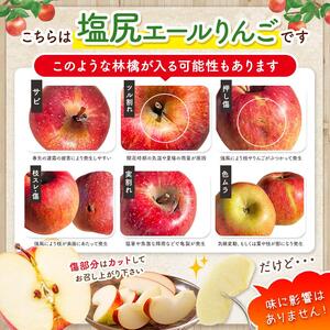【2026年先行予約】信州産 塩尻エールりんご！農家さん応援♪♪ 果汁たっぷり ぐんま名月 約5kg（14～18玉）【11月上旬以降発送予定】訳あり