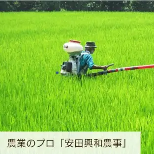 【令和7年産】風を宿命として農に生きる「風神の舞」コシヒカリ 5kg 新潟県 米 こめ コメ 1W08015