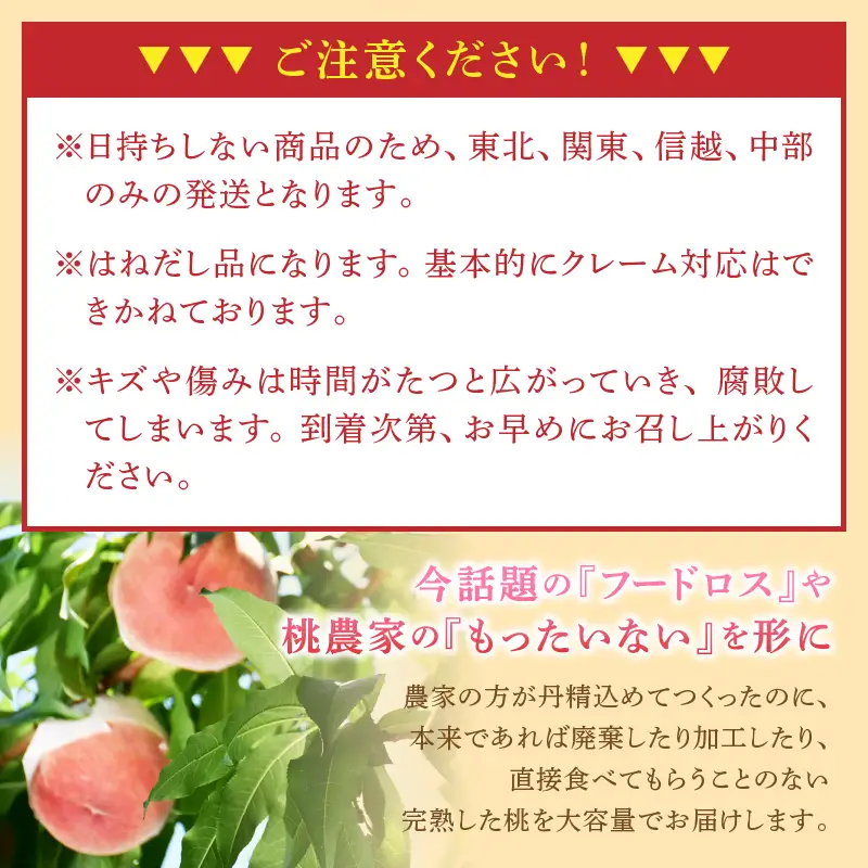 訳ありの桃《大容量》約3kg【2026年発送】（MG）A08-470 桃 フルーツ