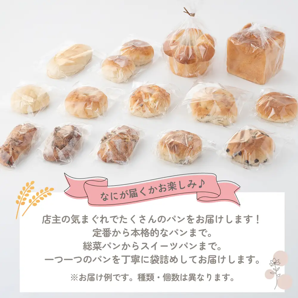 店主気まぐれ「パン」の詰め合わせセット 計10種類以上 国産小麦 国産 自家製酵母 パン詰め合わせ 三重県 多気町 NT-01