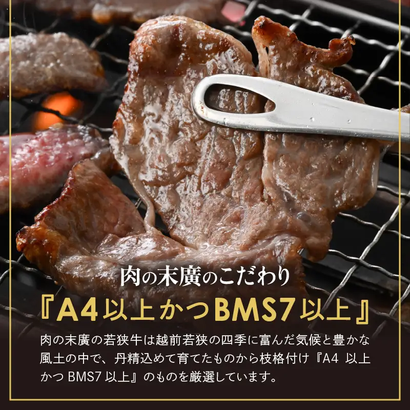 【ブランド肉】牛 豚 食べ比べ 「若狭牛 」「ふくいポーク 」焼肉用 計 1.１kg 国産肉 冷凍 [e02-c013]