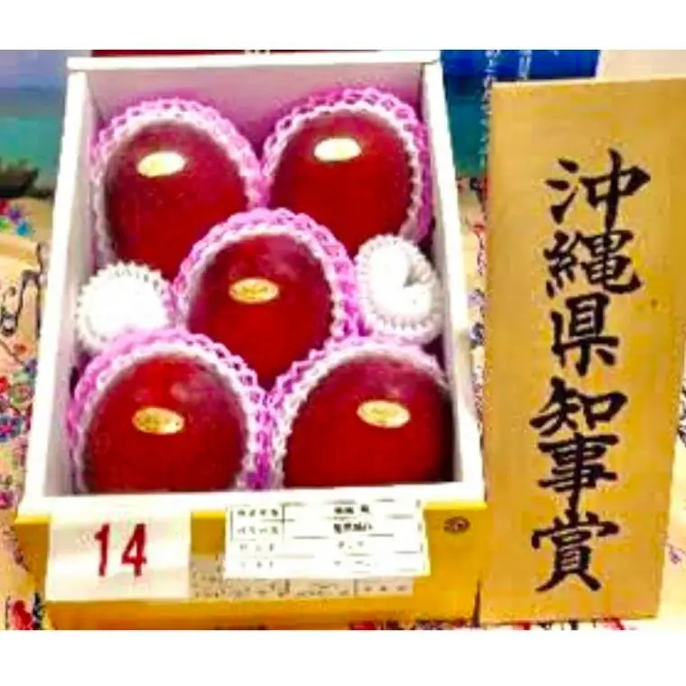 沖縄マンゴー約1kg(2～3玉)