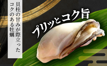 牡蠣 全国牡蠣−1GP受賞 3倍体カキ キューティーカキー 20個 生食用 生食 殻付き 殻付き牡蠣 貝 兵庫 兵庫県 姫路市