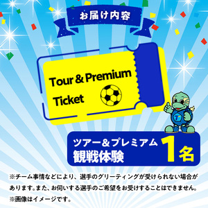 大分トリニータホームゲームツアー＆プレミアム観戦体験(1名) 大分トリニータ Jリーグ サッカー trinita 【opfc004】【大分フットボールクラブ】