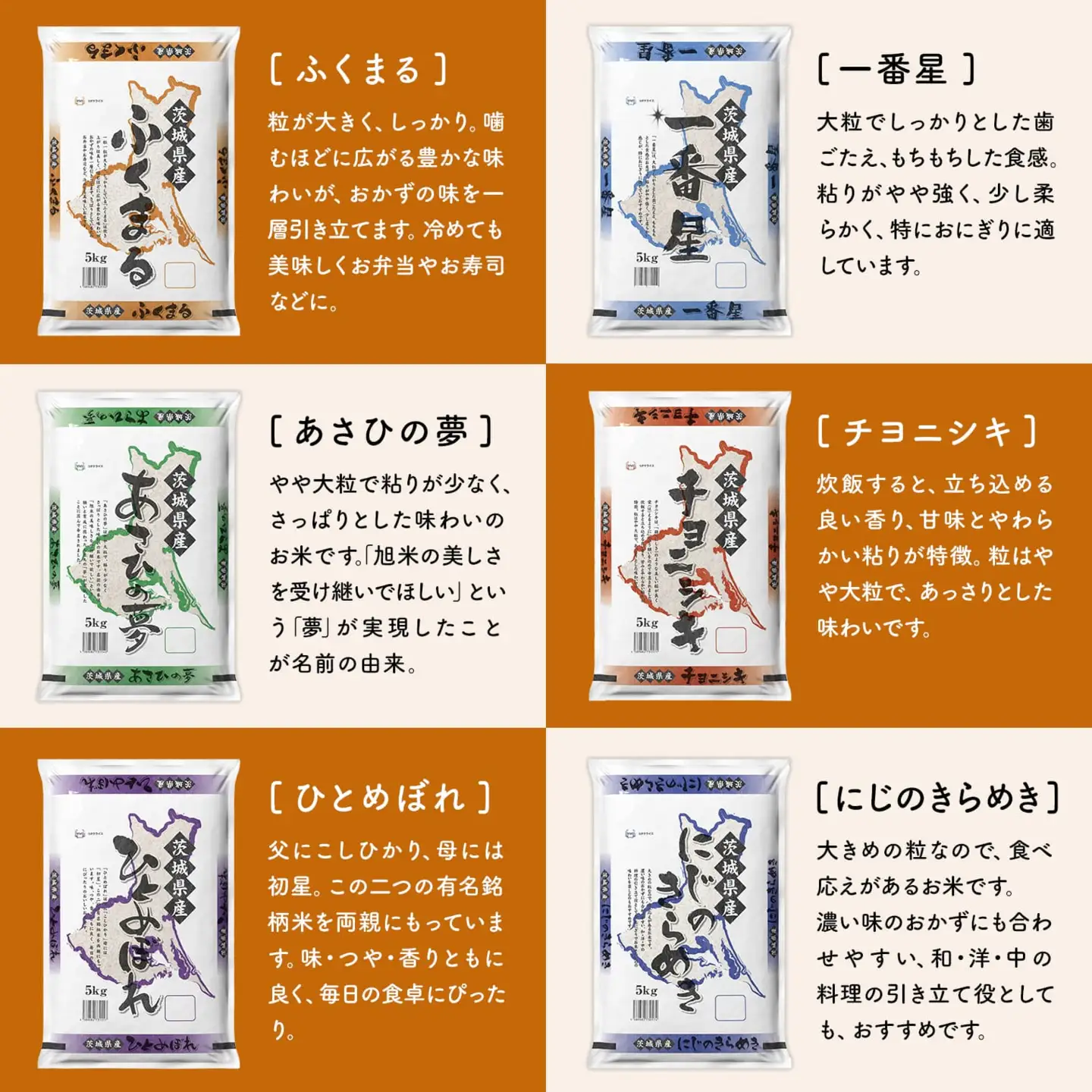 白米 2種食べ比べ 10kg 令和8年6月内発送 茨城県産 令和7年産 精米 K2457