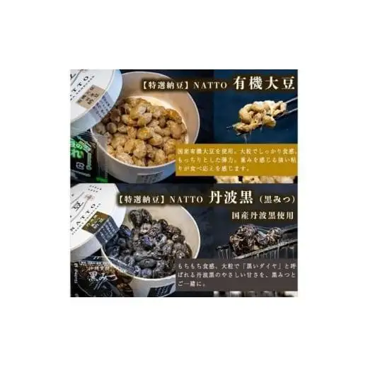 納豆 NATTO 高級国産納豆6種食べ比べセット 6個入り なっとう 丹波産 黒みつ パンダ豆 もち麦 枝豆 ピスタチオ 有機大豆