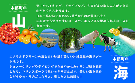 HISふるさと納税クーポン（沖縄県本部町）6千円分 観光